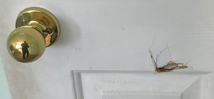 interior door hole repair Pedley